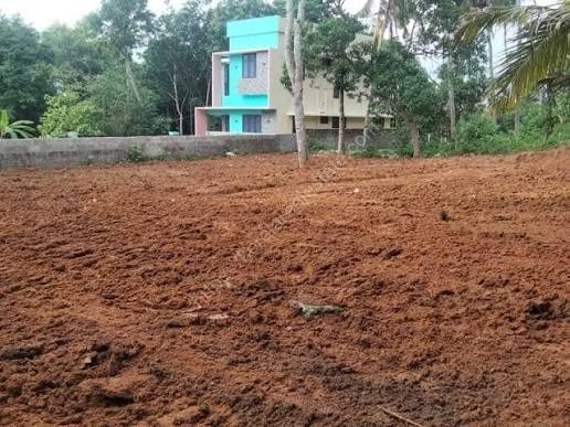 Plot photo