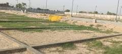 Plot photo