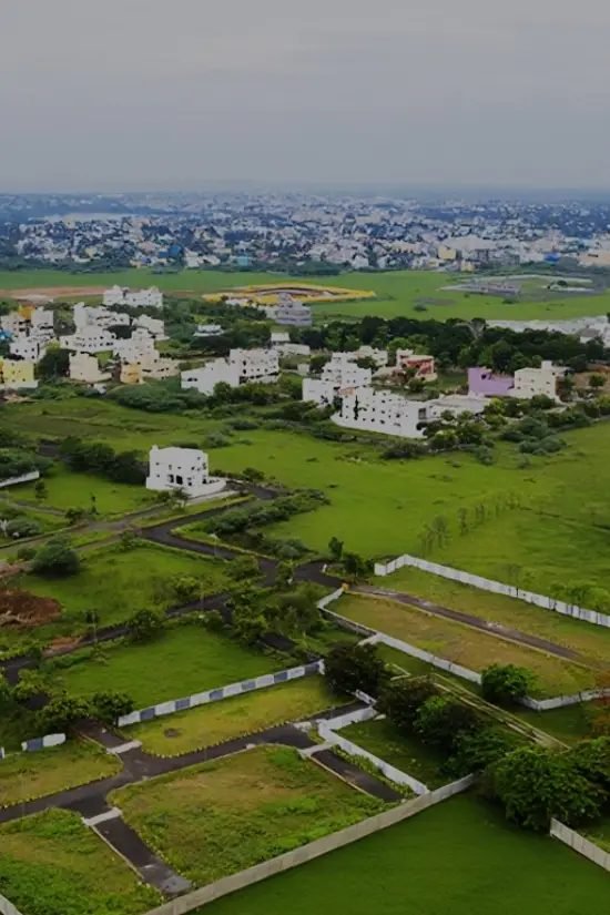 Plot photo