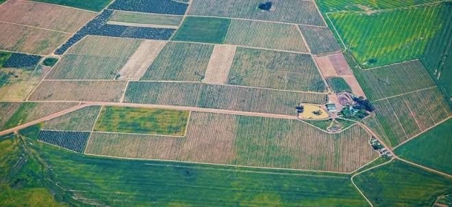 Plot photo