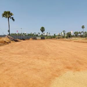 Plot photo