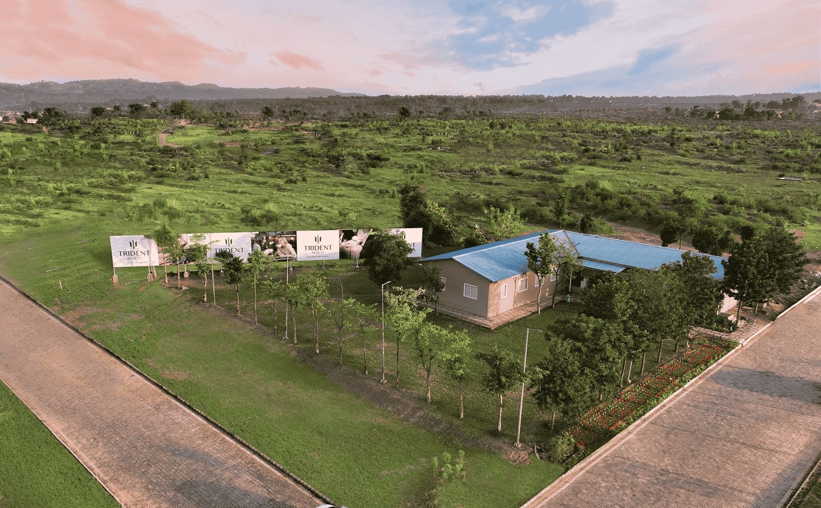 Plot photo