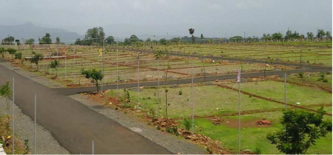 Plot photo