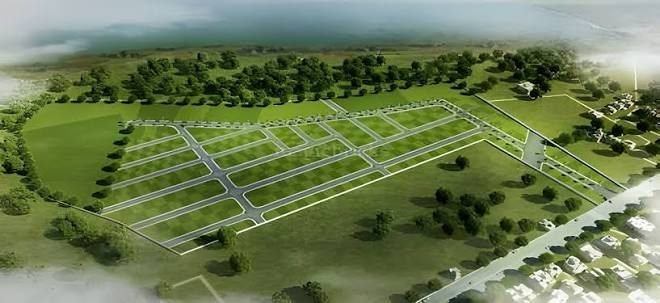 Plot photo