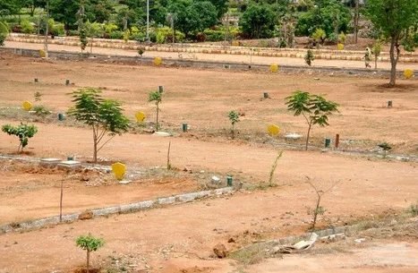 Plot photo
